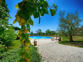 Villa Benka, Istrian stone house